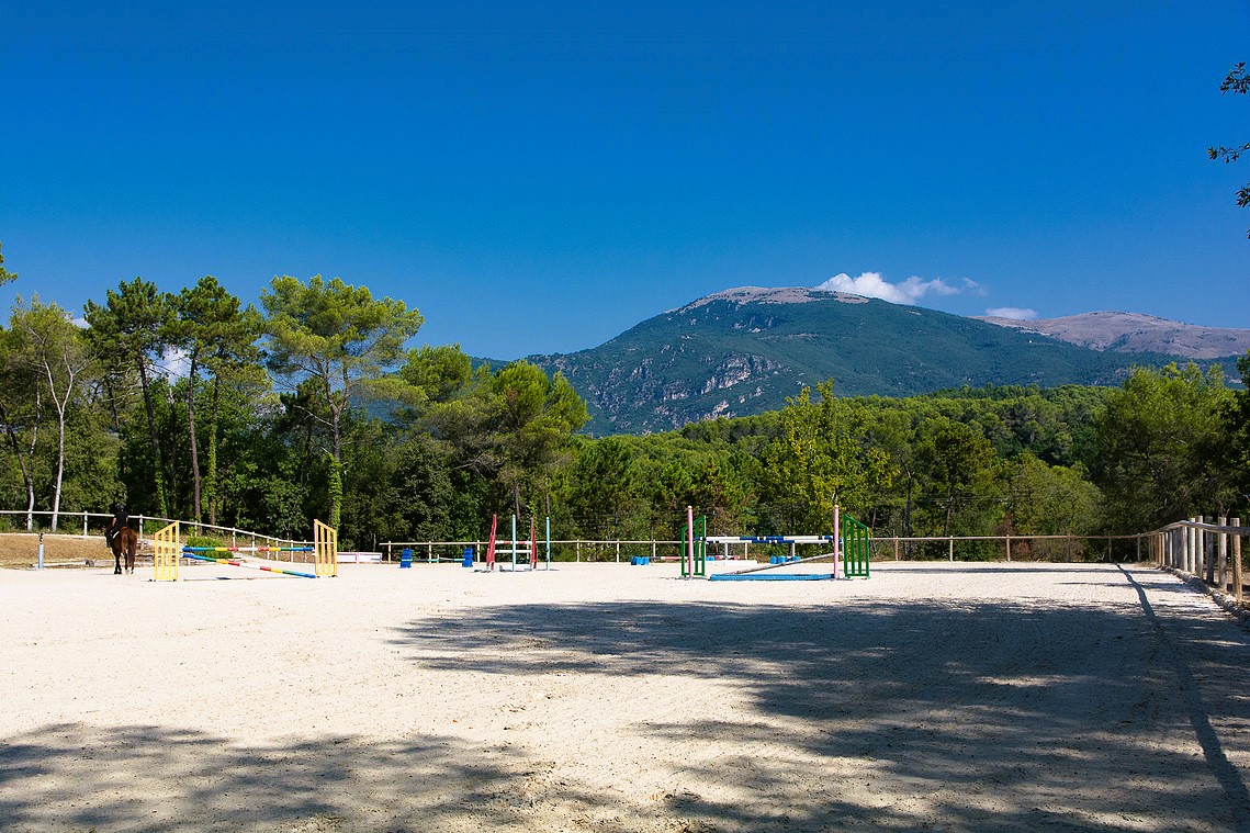 Exclusive manor with horse facilities