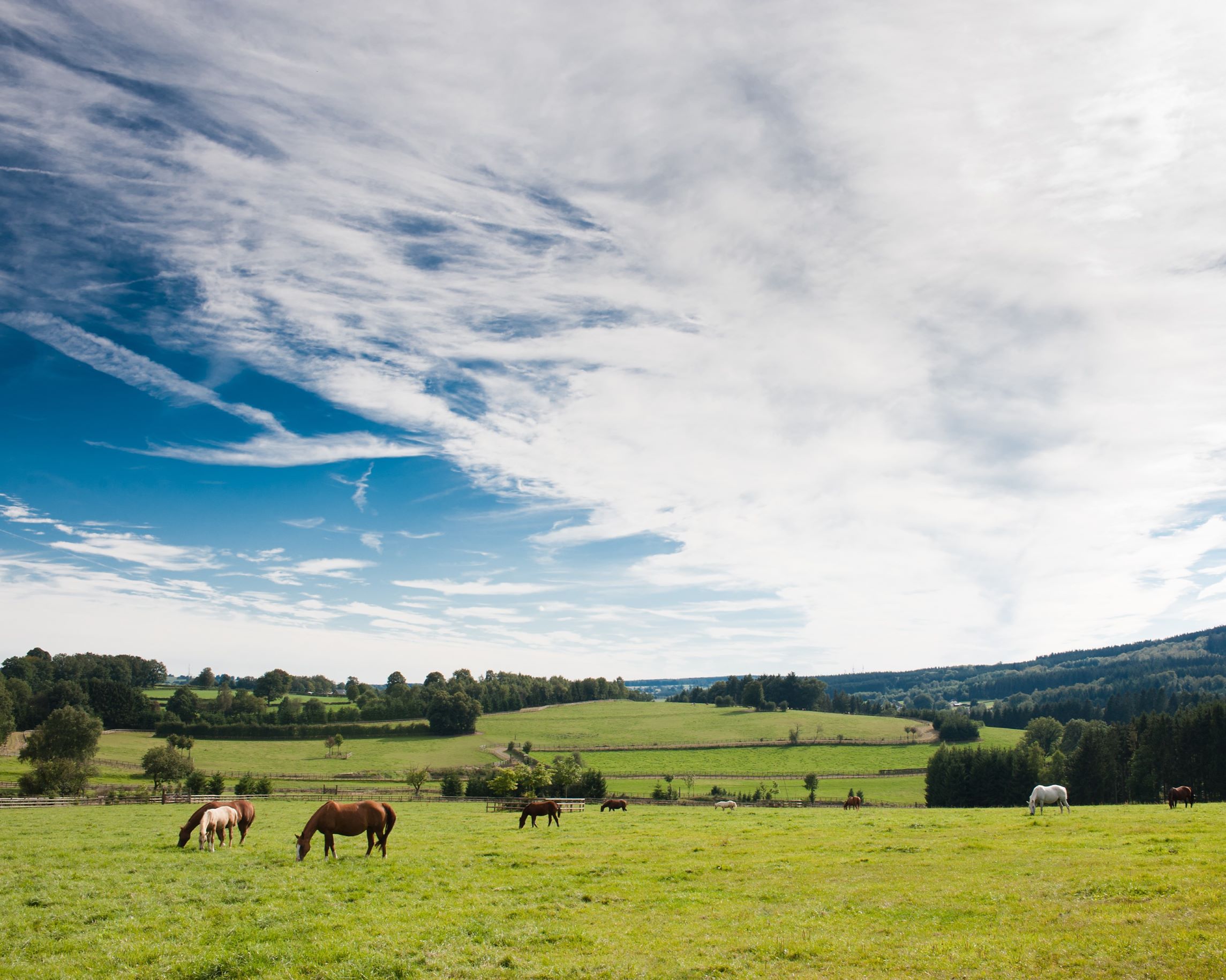 Equestrian Ranch Belgium